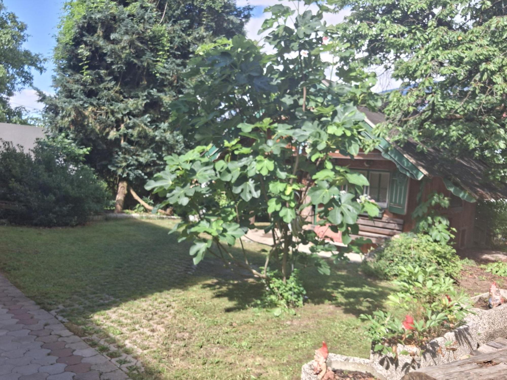 Villa Ganzes Haus Mit Almcharakter Lieserbrücke Exterior foto